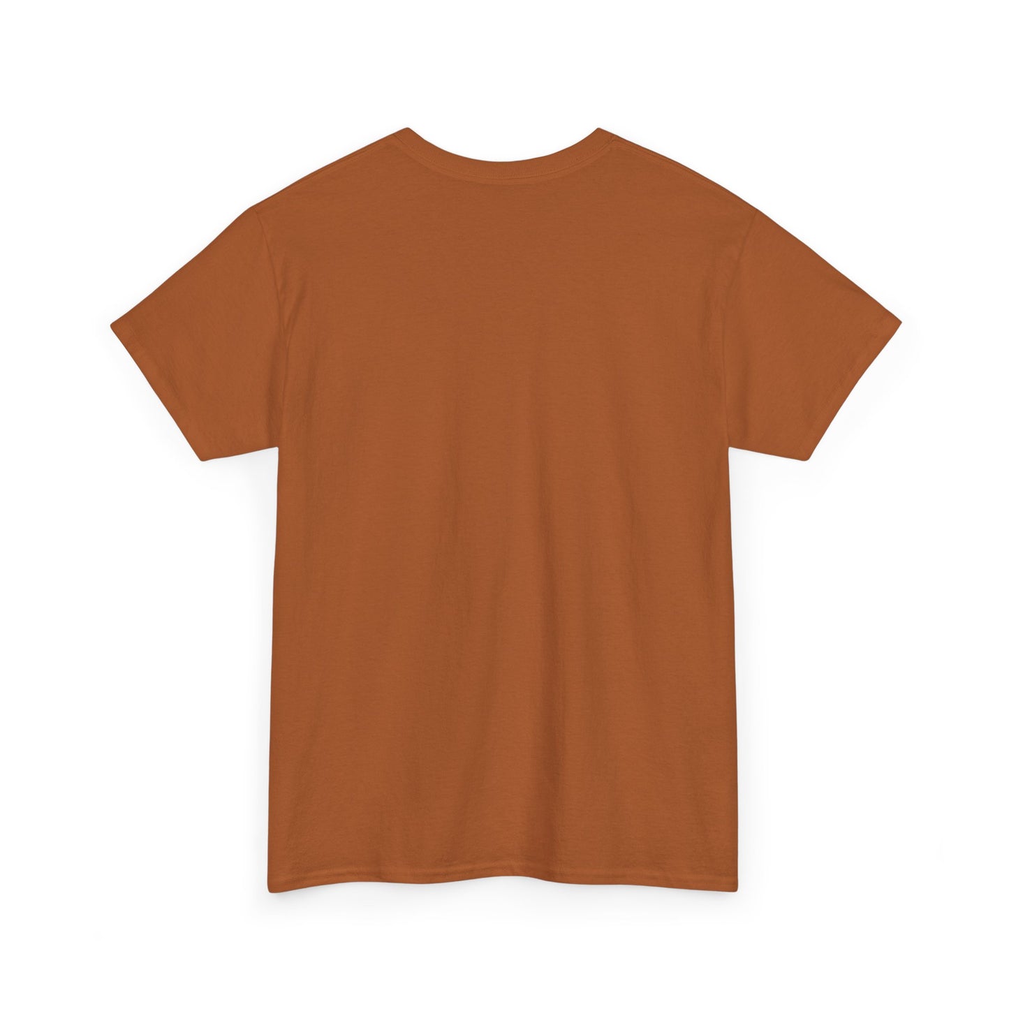 VESH Unisex Heavy Cotton Tee