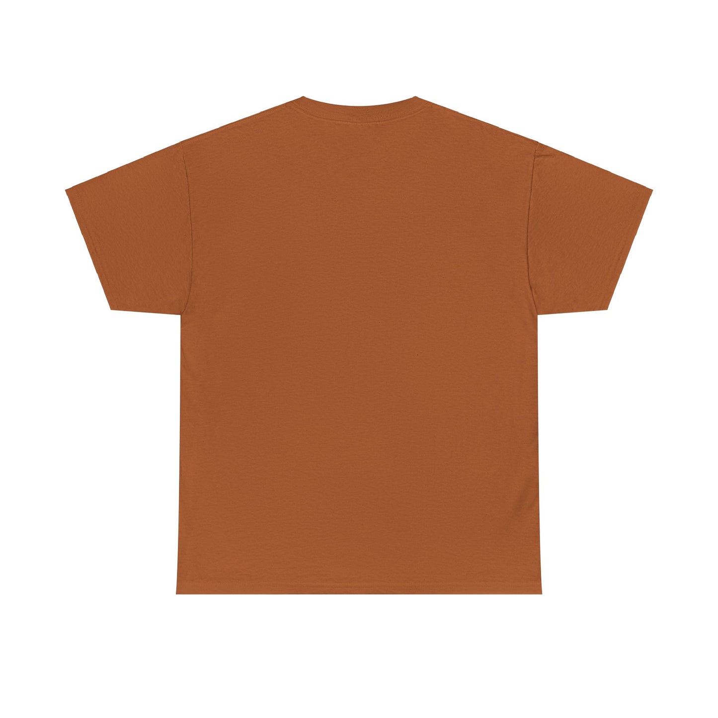 VESH Unisex Heavy Cotton Tee
