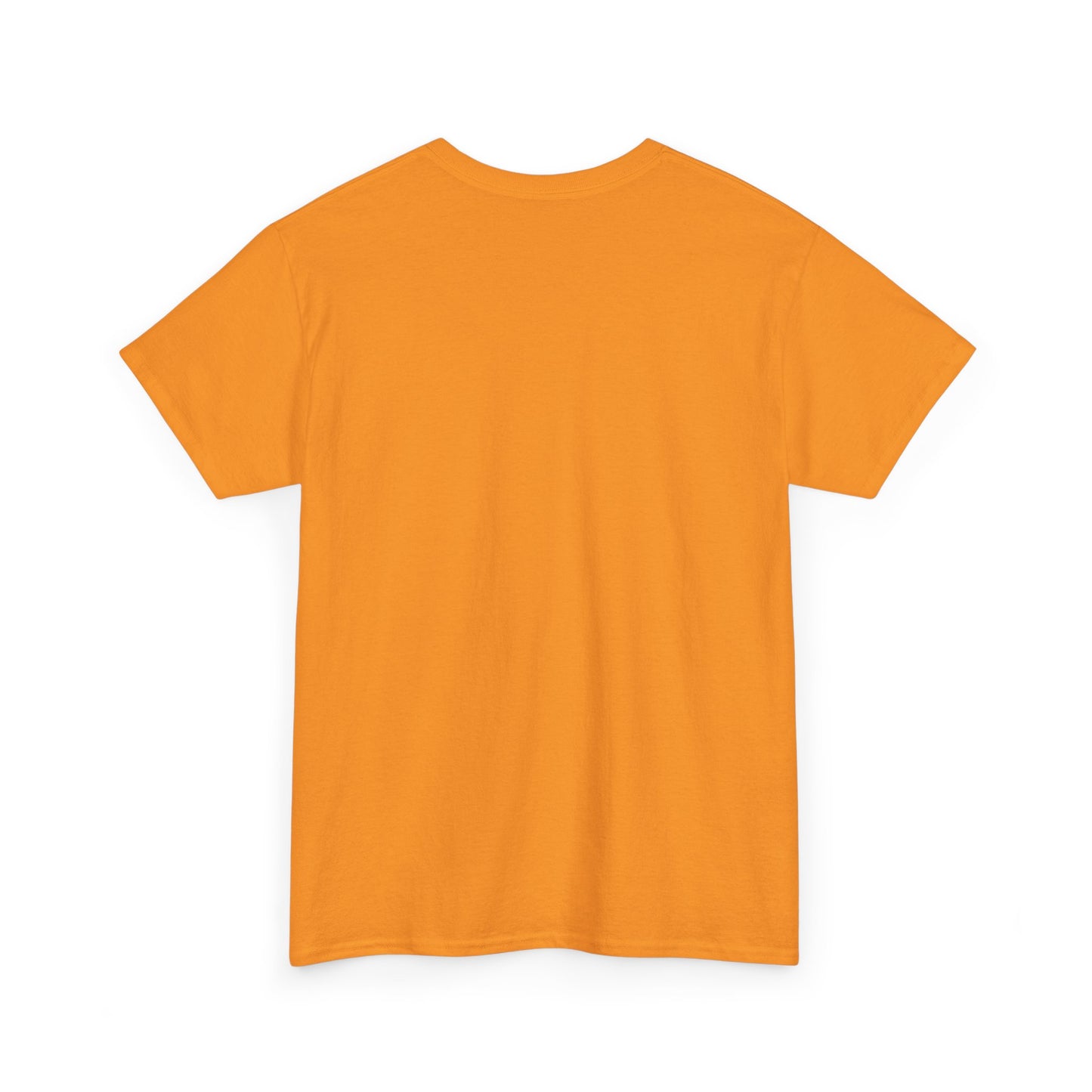 VESH Unisex Heavy Cotton Tee