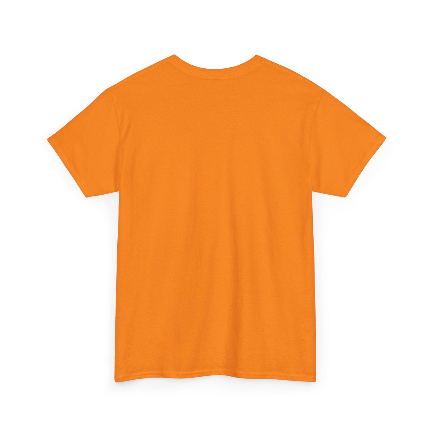 VESH Unisex Heavy Cotton Tee