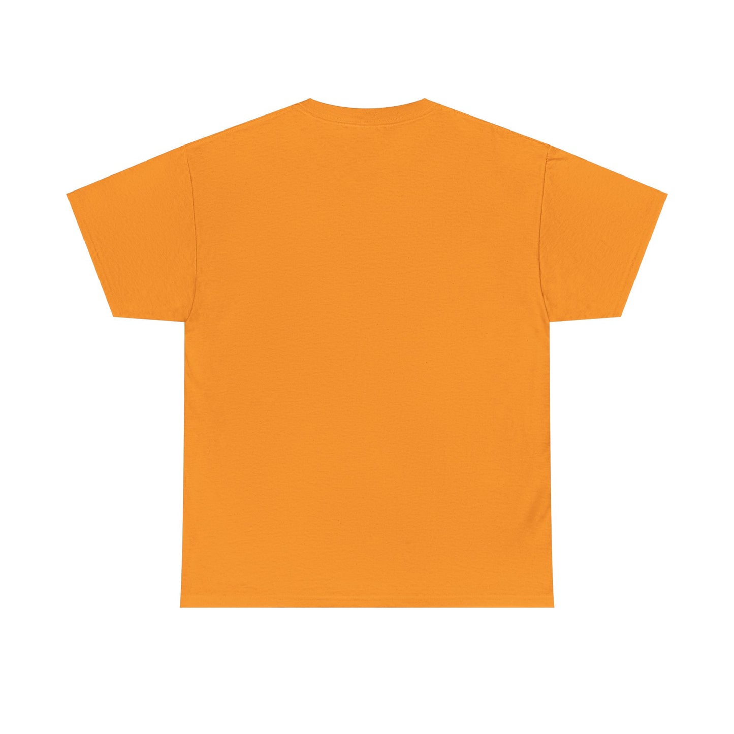 VESH Unisex Heavy Cotton Tee
